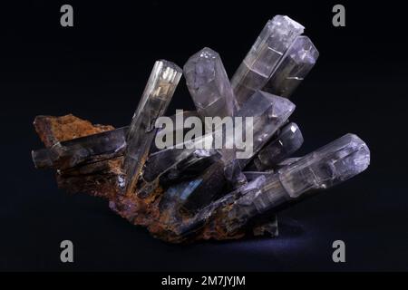 Steine und Mineralien, Gipskristall, Laborprobe Stockfoto