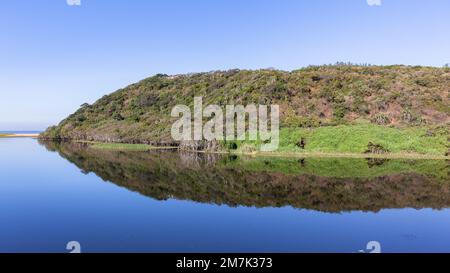 Die tropische Strandlagune spiegelt an einem Sommertag glattes Wasser wider, das die Vegetationslandschaft der Vorgewende widerspiegelt. Stockfoto