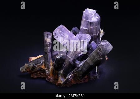 Steine und Mineralien, Gipskristall, Laborprobe Stockfoto