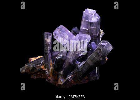 Steine und Mineralien, Gipskristall, Laborprobe Stockfoto