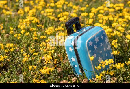 Koffer Schweinebank Flugzeug Plastikspielzeug auf gelben Blumen grünes Gras oder graue Decke, Kinderhände. Reisekonzept Stockfoto