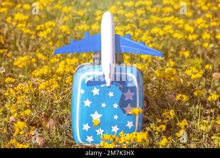 Koffer Schweinebank Flugzeug Plastikspielzeug auf gelben Blumen grünes Gras oder graue Decke, Kinderhände. Reisekonzept Stockfoto