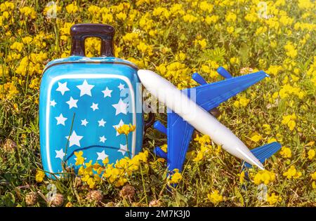 Koffer Schweinebank Flugzeug Plastikspielzeug auf gelben Blumen grünes Gras oder graue Decke, Kinderhände. Reisekonzept Stockfoto