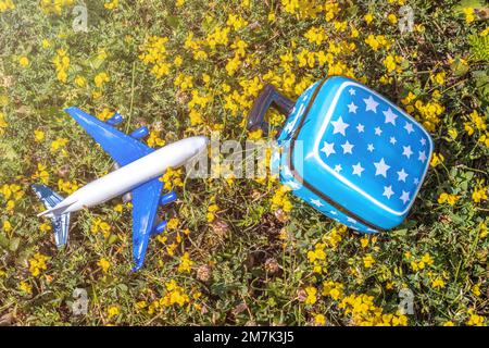 Koffer Schweinebank Flugzeug Plastikspielzeug auf gelben Blumen grünes Gras oder graue Decke, Kinderhände. Reisekonzept Stockfoto