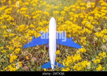 Koffer Schweinebank Flugzeug Plastikspielzeug auf gelben Blumen grünes Gras oder graue Decke, Kinderhände. Reisekonzept Stockfoto