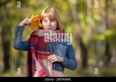 Rothaariges kleines Mädchen mit gelbem Ahornblatt. Kind im Herbstpark. Das Konzept der Herbsteinkunft. Stockfoto