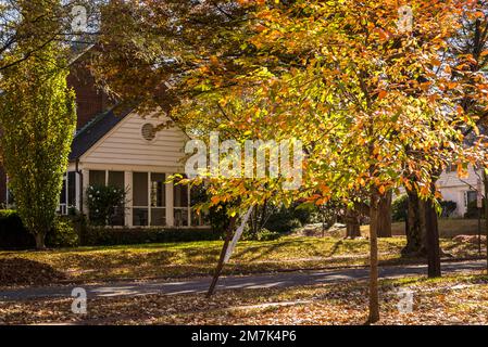 Vornehme Wohngegend von Chevy Chase. Maryland, MD, nordwestlich von Washington, D.C. , USA Stockfoto