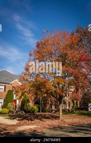 Vornehme Wohngegend von Chevy Chase. Maryland, MD, nordwestlich von Washington, D.C. , USA Stockfoto