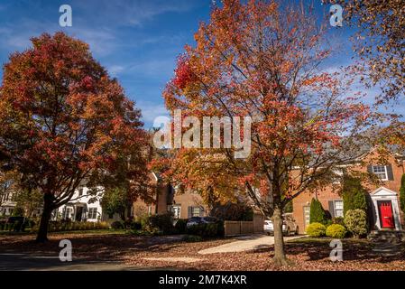 Vornehme Wohngegend von Chevy Chase. Maryland, MD, nordwestlich von Washington, D.C. , USA Stockfoto