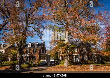 Vornehme Wohngegend von Chevy Chase. Maryland, MD, nordwestlich von Washington, D.C. , USA Stockfoto