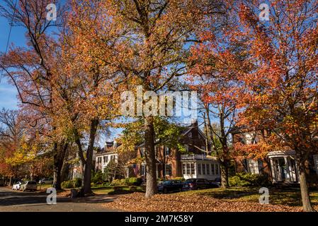 Vornehme Wohngegend von Chevy Chase. Maryland, MD, nordwestlich von Washington, D.C. , USA Stockfoto