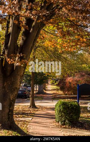 Vornehme Wohngegend von Chevy Chase. Maryland, MD, nordwestlich von Washington, D.C. , USA Stockfoto