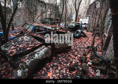 Alte verlassene Autos, die irgendwo in Belgien im Wald abgeladen wurden. Stockfoto