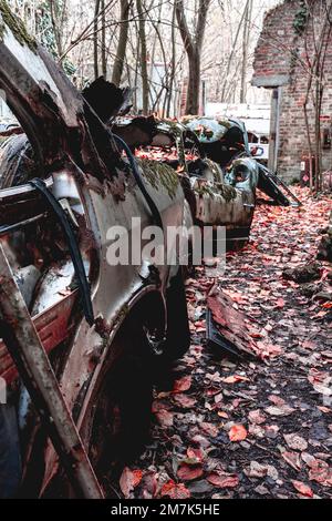 Alte verlassene Autos, die irgendwo in Belgien im Wald abgeladen wurden. Stockfoto