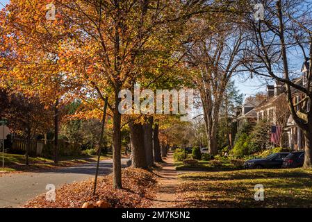 Vornehme Wohngegend von Chevy Chase. Maryland, MD, nordwestlich von Washington, D.C. , USA Stockfoto