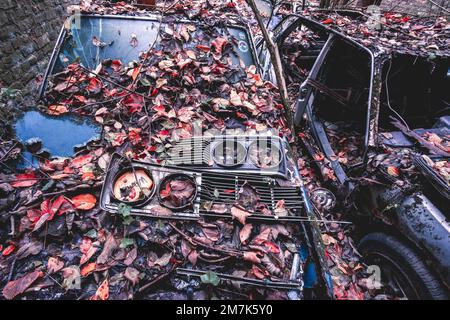 Alte verlassene Autos, die irgendwo in Belgien im Wald abgeladen wurden. Stockfoto