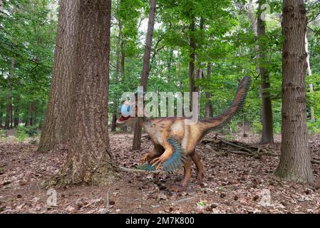 Oertijdmuseum-Boxtel-12-06-2022: Ornitholestes im Waldmuseum, Niederlande Stockfoto