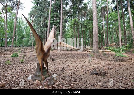 Oertijdmuseum-Boxtel-12-06-2022: Pterodactyl - der prähistorische Wing-Dinosaurier fliegt im Wald Stockfoto