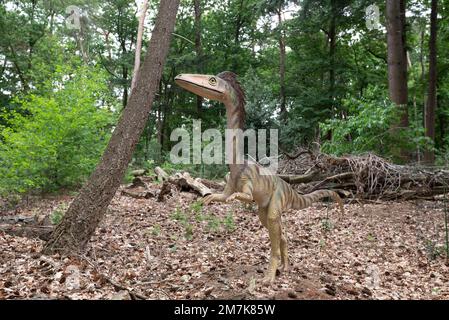 Oertijdmuseum-Boxtel-12-06-2022: Compsognathusin Forest, Niederlande. Stockfoto