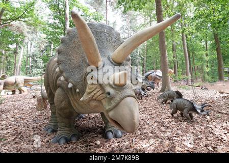 Oertijdmuseum-Boxtel-12-06-2022: Triceratops im Außenmuseum, Niederlande Stockfoto