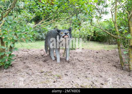 Oertijdmuseum-Boxtel-12-06-2022: Wolf im Außenmuseum, Niederlande Stockfoto