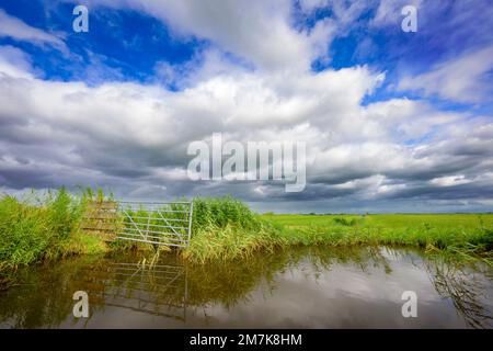 Typische holländische Flusslandschaft mit grünen Wiesen, Wasser und blauem Himmel und Wolken, Niederlande. Stockfoto