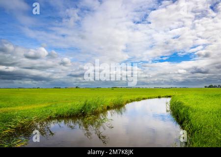 Authentische niederländische Flusslandschaft mit grünen Wiesen, Wasser und blauem Himmel und Wolken, Niederlande. Stockfoto