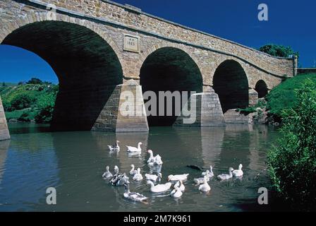 Tasmanien. Ich Bin Richmond. Richmond Bridge über dem Coal River. 1823. Die älteste Brücke Australiens. Stockfoto