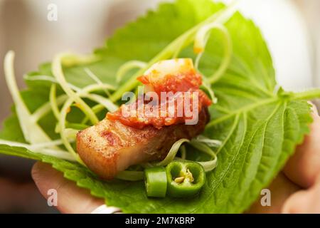 Gegrillter Schweinebauch, Salatfleisch und Gemüse Stockfoto