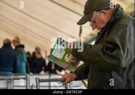 Bilder des Kelso Rame Sales 2022. Springwood Park, Border Union Showground, Kelso, Scottish Borders, Schottland, UK. Stellen Sie Sich Phil Wilkinson/Alam Vor Stockfoto