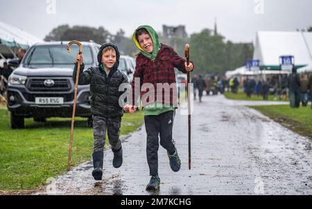 Bilder des Kelso Rame Sales 2022. Springwood Park, Border Union Showground, Kelso, Scottish Borders, Schottland, UK. Stellen Sie Sich Phil Wilkinson/Alam Vor Stockfoto