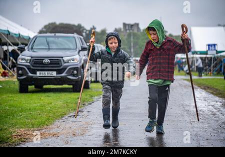 Bilder des Kelso Rame Sales 2022. Springwood Park, Border Union Showground, Kelso, Scottish Borders, Schottland, UK. Stellen Sie Sich Phil Wilkinson/Alam Vor Stockfoto