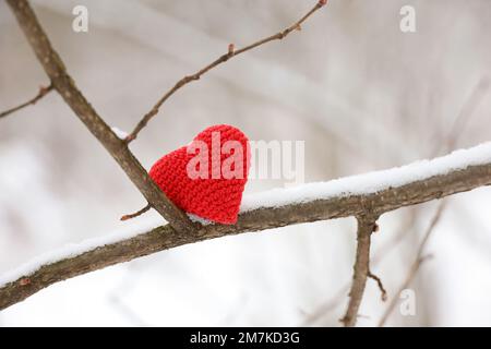 Valentinsherz auf einem mit Schnee bedeckten Ast im Winterwald. Rotes Stricksymbol der Liebe, Konzept der Neujahrsfeier oder Valentinstag Stockfoto