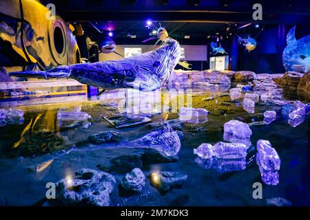 Riccione, Italien. 31. Dezember 2022. Ein allgemeiner Überblick über die Darwin Experience im Oltremare Theme Park am 31. Dezember 2022 in Riccione, Italien (Foto von Alessandro Bremec/NurPhoto). Kredit: NurPhoto SRL/Alamy Live News Stockfoto