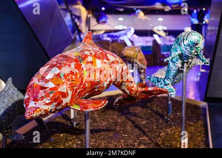 Riccione, Italien. 31. Dezember 2022. Ein allgemeiner Überblick über die Darwin Experience im Oltremare Theme Park am 31. Dezember 2022 in Riccione, Italien (Foto von Alessandro Bremec/NurPhoto). Kredit: NurPhoto SRL/Alamy Live News Stockfoto