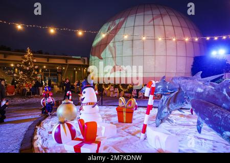 Riccione, Italien. 31. Dezember 2022. Ein allgemeiner Blick auf die Weihnachtsdekorationen im Oltremare Theme Park am 31. Dezember 2022 in Riccione, Italien (Foto von Alessandro Bremec/NurPhoto). Kredit: NurPhoto SRL/Alamy Live News Stockfoto