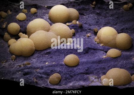 Steine und Mineralien, Aragonitkristall, Laborprobe Stockfoto