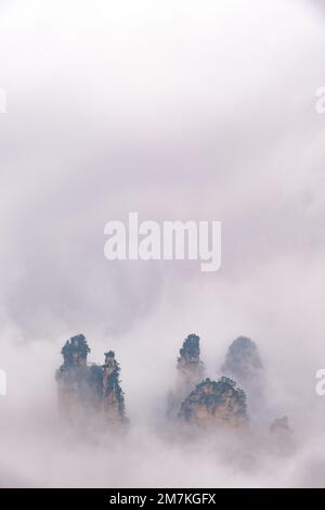 Zhangjiajie National Forest Park. Panoramablick über die Klippen und Berge in den Wolken. Der Avatar-Berg ist über dem Hintergrund nebiger Wolken. Stockfoto