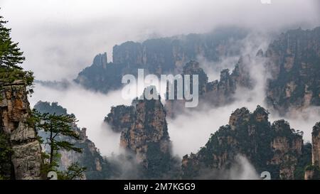 Zhangjiajie National Forest Park. Panoramablick über die Klippen und Berge in den Wolken. Der Avatar-Berg ist über dem Hintergrund nebiger Wolken. Stockfoto