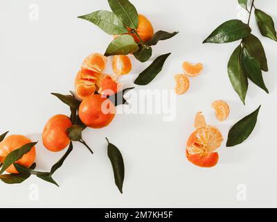 Zusammensetzung aus frischen, reifen Tangerinen und Blättern auf weißem Hintergrund, flach liegend. Zitrusfrüchte, Draufsicht Stockfoto