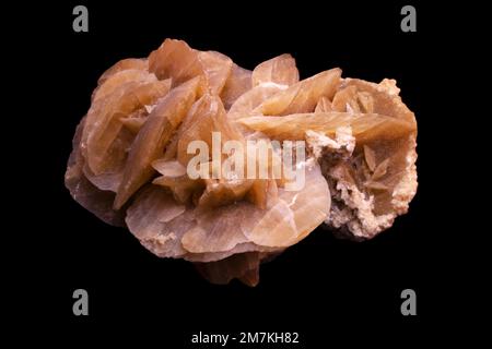 Rocks and Minerals, Desert Rose Crystals Laborprobe Stockfoto