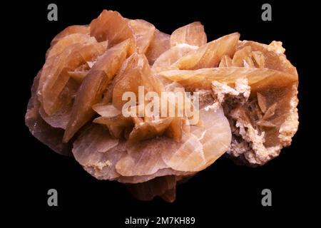 Rocks and Minerals, Desert Rose Crystals Laborprobe Stockfoto