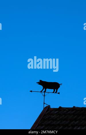 Schweinförmige Windflügel auf dem Dach eines Bauerngebäudes, Silhouette am blauen Himmel. Stockfoto