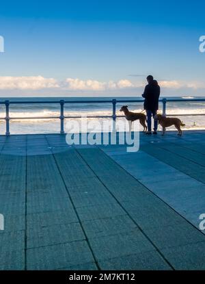 Ein Silhouettenblick auf einen Mann, der seinen Hund entlang der Geländer der Promenade in Gijon, Spanien, führt. Stockfoto