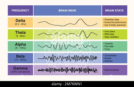 Ein Satz Hirnwellen-Oszillationen. Alpha, Beta, Theta, Delta und Gamma sind die fünf Wellenfunktionen des Gehirns. Infografik zum menschlichen Geistesrhythmus Stock Vektor