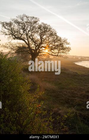 Blick auf die Morgendämmerung am Ufer des River Stour Stockfoto