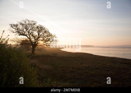 Blick auf die Morgendämmerung über den River Stour Stockfoto