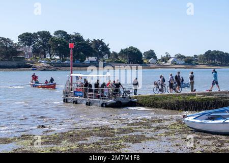 Sene (Bretagne, Nordwesten Frankreichs): Die Gezeitenstraße Òpassage de Saint ArmelÓ, Montsarrac und die Landschaft des Golfs von Morbihan. Touristen mit Fahrrädern Stockfoto