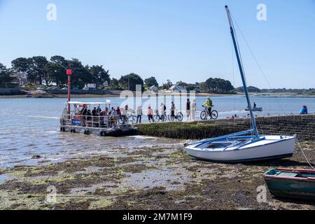 Sene (Bretagne, Nordwesten Frankreichs): Die Gezeitenstraße Òpassage de Saint ArmelÓ, Montsarrac und die Landschaft des Golfs von Morbihan. Touristen mit Fahrrädern Stockfoto