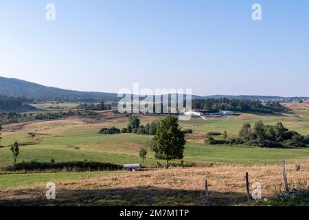 Schloss Grande-Riviere (Mittelost-Frankreich): Landschaften im oberen Teil des Departements Jura mit Feldern und einem Wald. Milchfarm Stockfoto